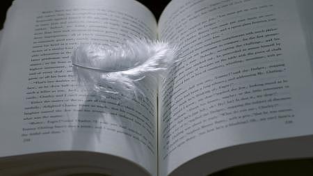 唯美空镜唯美意境羽毛掉落到书上视频的预览图